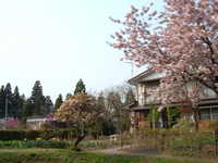  dscf0860.jpg 