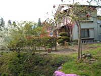  dscf0861.jpg 