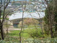  dscf0865.jpg 
