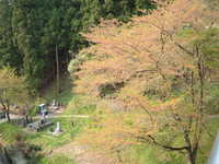  dscf0867.jpg 