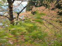  dscf0868.jpg 