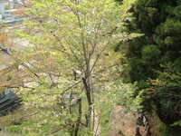  dscf0869.jpg 