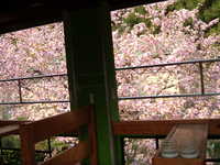  dscf0872.jpg 