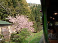  dscf0873.jpg 