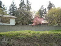  dscf0874.jpg 