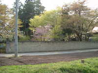  dscf0875.jpg 