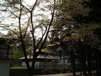  dscf0876.jpg 
