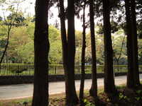  dscf0877.jpg 