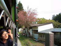  dscf0879.jpg 