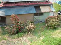  dscf0881.jpg 