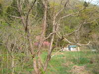  dscf0884.jpg 
