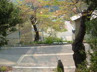  dscf0885.jpg 