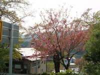  dscf0886.jpg 