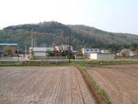  dscf0896.jpg 