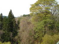  dscf0901.jpg 