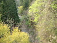 dscf0902.jpg 