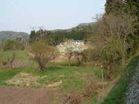  dscf0905.jpg 