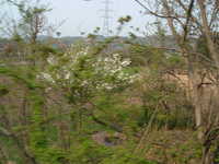  dscf0906.jpg 