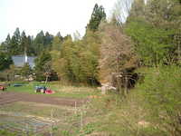  dscf0908.jpg 