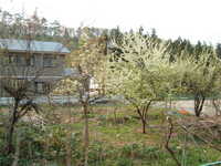  dscf0911.jpg 