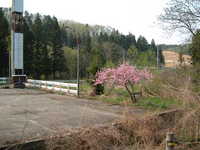  dscf0912.jpg 