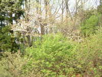  dscf0915.jpg 