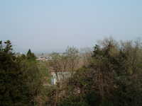  dscf0916.jpg 