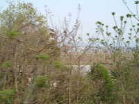  dscf0917.jpg 