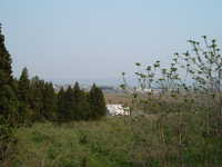  dscf0918.jpg 