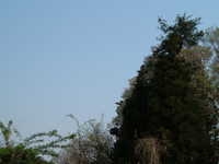  dscf0922.jpg 