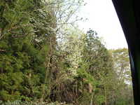  dscf0923.jpg 