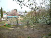  dscf0924.jpg 