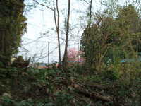  dscf0926.jpg 
