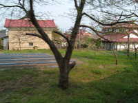  dscf0927.jpg 