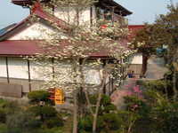  dscf0928.jpg 