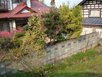  dscf0929.jpg 