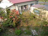 dscf0930.jpg 
