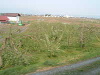  dscf0931.jpg 