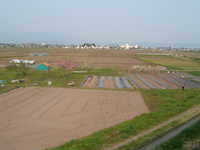  dscf0932.jpg 