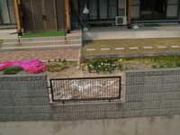  dscf0935.jpg 