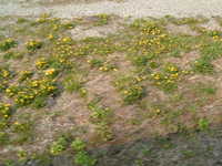  dscf0940.jpg 