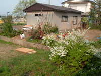  dscf0951.jpg 