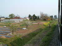  dscf0952.jpg 
