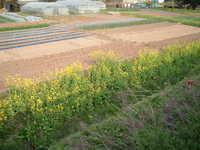  dscf0954.jpg 