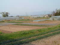  dscf0955.jpg 