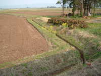  dscf0956.jpg 