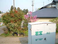  dscf0957.jpg 