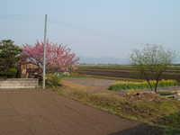  dscf0958.jpg 