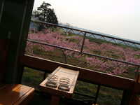  dscf0959.jpg 