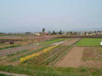  dscf0961.jpg 